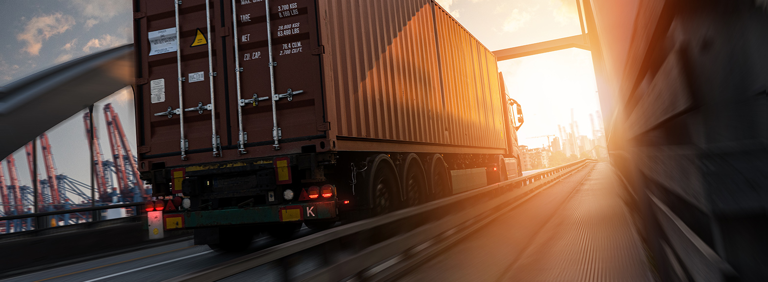 Transporter profile - SGS e-Customs - Customs Made Simple