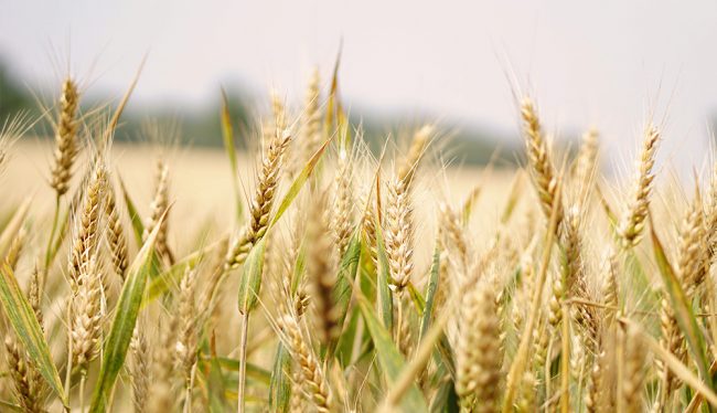 Resources image_ news