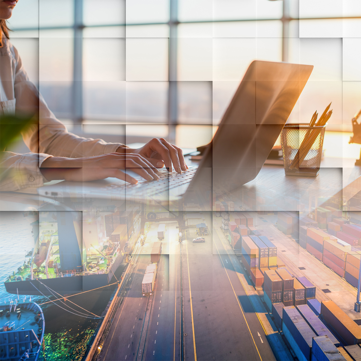 Customs Made Simple - SGS e-Customs