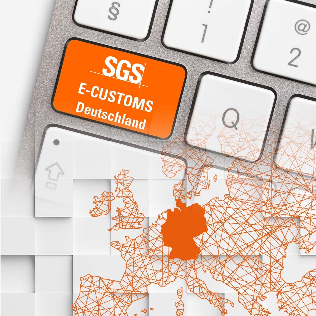 SGS e-Customs Germany - Zoll Leicht Gemacht