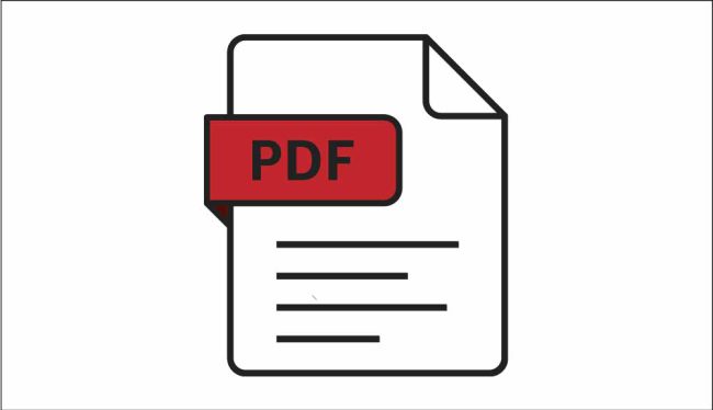 PDF icon v2